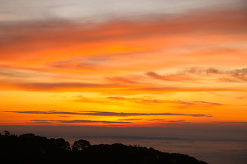 The sky twilight bright color with morning mist and silhouette mountain background