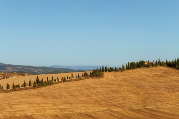 Obraz premium Typical landscapes for Siena Province in Tuscany, Italy. Cypress hills, plowed fields, roads and houses. Begining of autumn season.