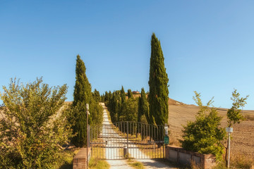 Obraz premium Typical landscapes for Siena Province in Tuscany, Italy. Cypress hills, plowed fields, roads and houses. Begining of autumn season.