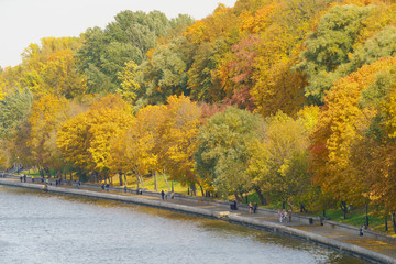 Photography of the bright golden, orange and green lush foliage in city park in sunny autumn day. Natural floral texture, backgrounds. The beauty of nature. View from above / top view.