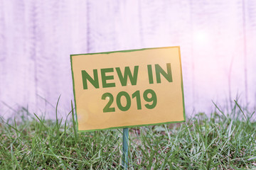 Handwriting text writing New In 2019. Conceptual photo what will be expecting or new creation for the year 2019 Plain empty paper attached to a stick and placed in the green grassy land