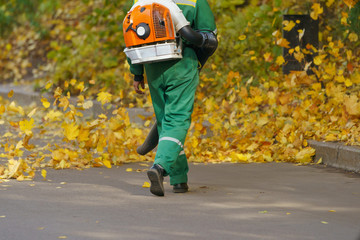 Cleaning falling leaves on a city street in the autumn dry time. Using leaf blower for cleaning of...
