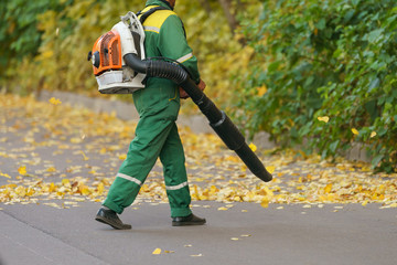 Cleaning falling leaves on a city street in the autumn dry time. Using leaf blower for cleaning of the road in the park. Seasonal occupation concept.