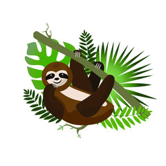 sloth on a branch. Merry vector illustration. Tropical leaves