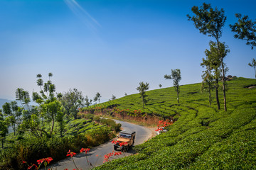 Munnar landscape