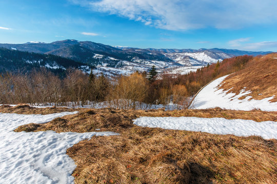 spring has come. last days of winter landscape. forest on mountain hills and peaks covered with snow. weathered yellow grass on meadows under blue sky