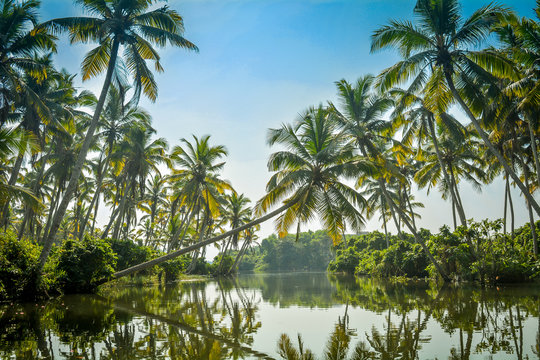 Kerala Images – Browse 65,771 Stock Photos, Vectors, and Video | Adobe ...