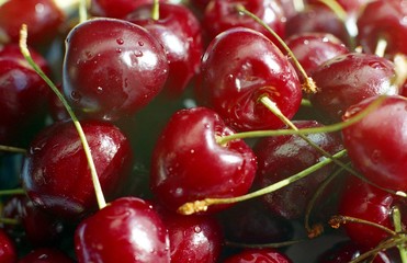 fresh cherries in a bowl