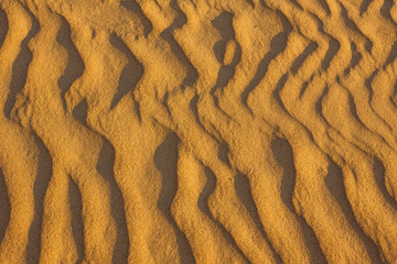 Sand, desert, dunes.