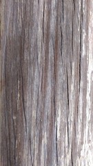 Obraz premium wood texture