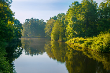 Summertime view on a lake surrounded with trees