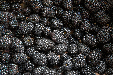 Giant mulberry closeup. Food backgrounds series.