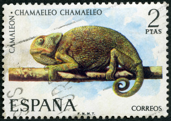 SPAIN - 1974: shows Common chameleon, Reptiles, 1974