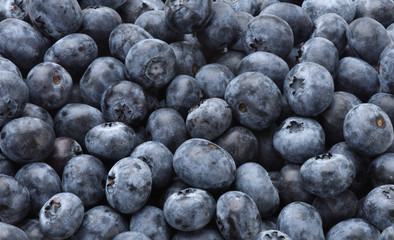 Blaubeeren