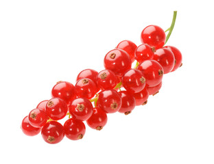 Johannisbeeren