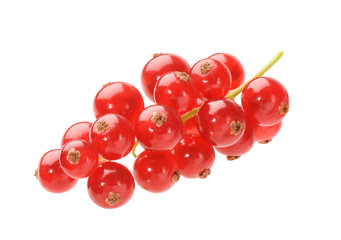 Rote Johannisbeeren