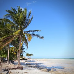 Cuba beach