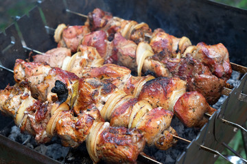 Meat on skewers roasted on the grill. Grilled pork on a picnic. Delicious juicy kebab pork on the grill.