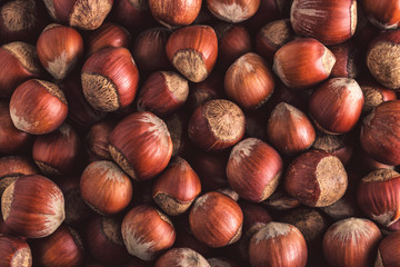 Hazelnuts. Stack of hazelnuts. Food background. Hazelnuts texture. Top view