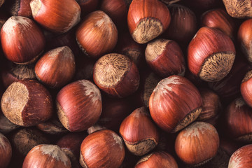 Hazelnuts. Stack of hazelnuts. Food background. Hazelnuts texture. Top view