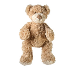 A Cute small Teddy bear isolated on white background  - 294878078