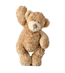 teddy bear isolated on white background - 294878210