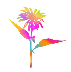 A colorful flower. Vector illustration