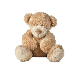 teddy bear on white background