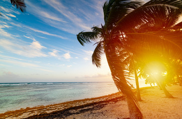 Sunset in Bois Jolan beach in Guadeloupe