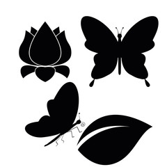 butterflies flying and sitting flowers and leaves for design