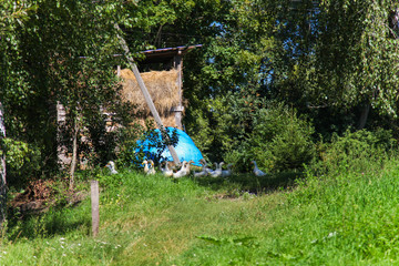 Obraz na płótnie Canvas Big hayloft with dry hay