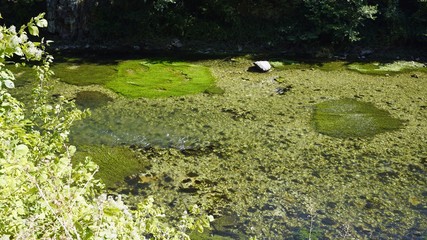colorful matka canyon in northern macedonia