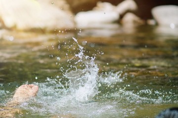 Outdoor lifestyle of Little children enjoying swimming at mountain stream with splashing of water in summertime.