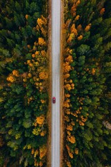 Aerial view of rural road in yellow and orange autumn forest in rural Finland.