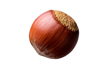 Hazelnut. Hazelnuts isolated on white background.  Hazelnut macro