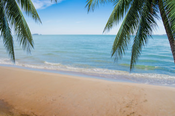 Fototapeta na wymiar Coconut leaves on the beach background