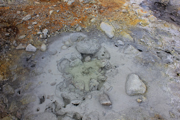 Mud pool in the geothermal area of seltun