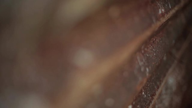 Cinematic dolly shot of Corroded metal sheet.