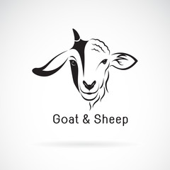 Vector of goat face and sheep face on a white background. Animals farm. Easy editable layered vector illustration.