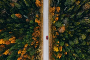 Aerial view of rural road in yellow and orange autumn forest in rural Finland.