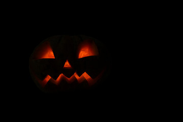 pumpkin Halloween Festival Concept