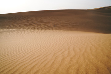 Landscape of sand dunes desert