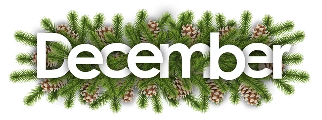 Deurstickers december in christmas background : pine branchs © nali