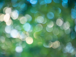 green nature bokeh  for background