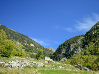 Fototapeta na wymiar beautiful mountain valley, beautiful grassy mountains and flowers