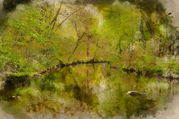 Digital watercolor painting of Stunning peaceful Spring landscape image of River Teign flowing through lush green forest in English countryside