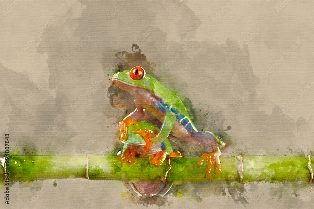 Wall mural Digital watercolor painting of red eyed tree Boophis Luteus frog with blurred green background