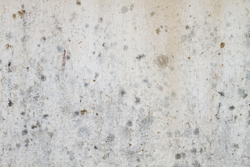 Obraz premium Detail of old distressed white wall