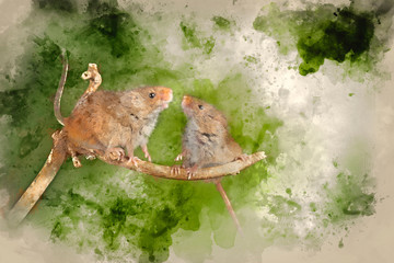 Digital watercolor painting of ADorable and Cute harvest mice micromys minutus on wooden stick