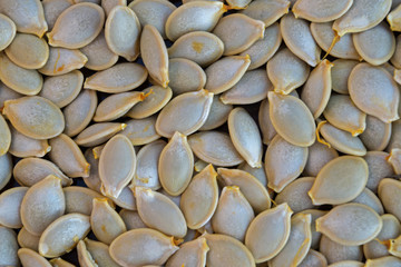 A layer of drying white-gray pumpkin or zucchini seeds extracted from the ripe fruits of vegetables, piled in a heap. Natural or organic background, wallpaper.